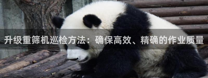 天宏娱乐b 判官：升级重筛机巡检方法：确保高效、精确的作业质