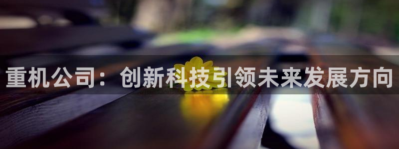 天宏娱乐直播直播间：重机公司：创新科技引领未来发展方向