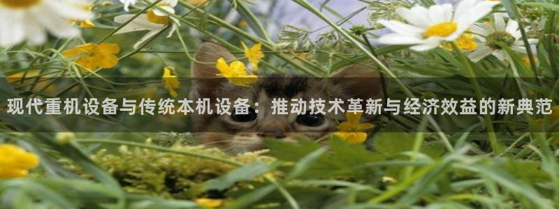 天宏2娱乐平台：现代重机设备与传统本机设备：推动技术革新与经