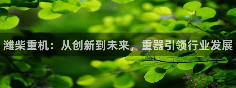 天宏娱乐有限公司：潍柴重机：从创新到未来，重器引领行业发展