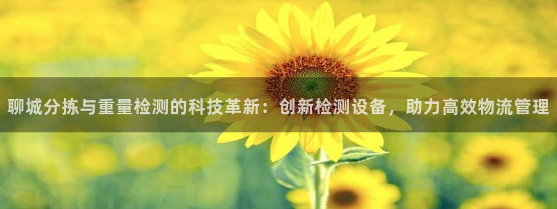 宏天广场娱乐：聊城分拣与重量检测的科技革新：创新检测设备，助