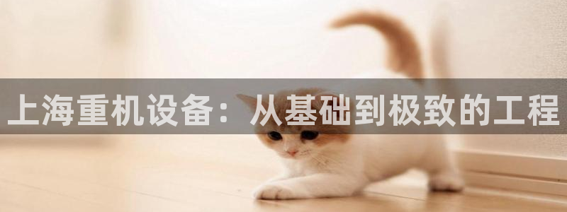 天宏娱乐大叔团龙叔